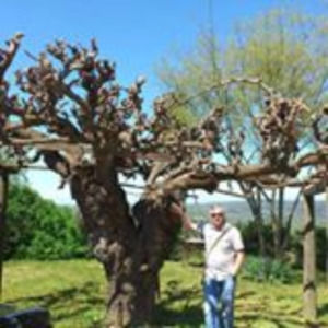 Meet your Posher, Frank